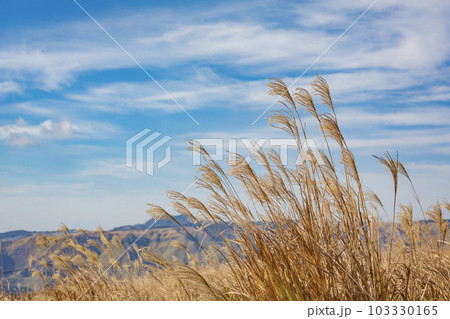 阿蘇　米塚下園地周辺の風景 103330165