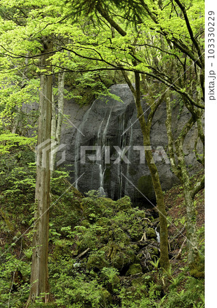 逹沢不動滝 103330229