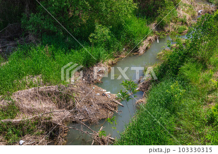 ゴミが流れつく川の藪 103330315