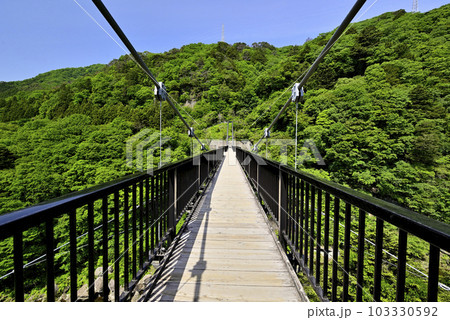鬼怒楯岩大吊橋 鬼怒楯岩大吊橋 103330592