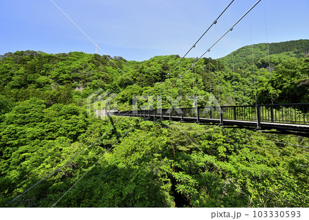 鬼怒楯岩大吊橋 103330593