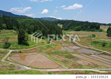 田んぼ　新潟県 103330628