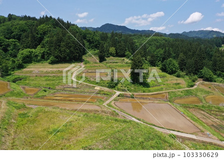 田んぼ　新潟県 103330629