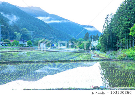 芦の郷公園からの眺め　農村風景　新緑の季節　鹿沼市　 103330866