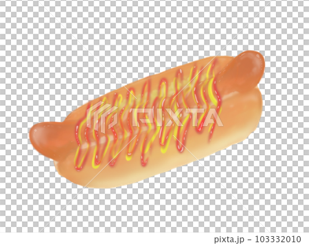 Hot dog with ketchup and mustard 103332010