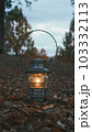 暮れに撮影したランタン 暮れに撮影したランタン 103332113