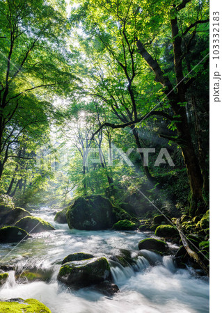 渓流と光芒 103332183