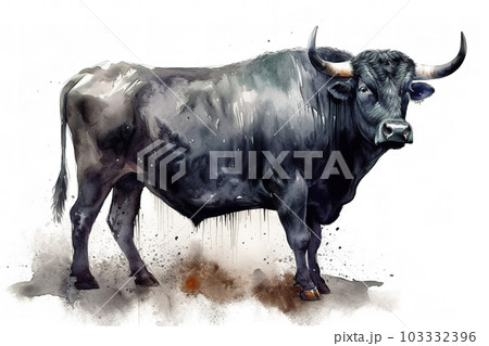 Watercolor painting of black bull on white background. Wildlife Animals. Illustration, generative AI. 103332396