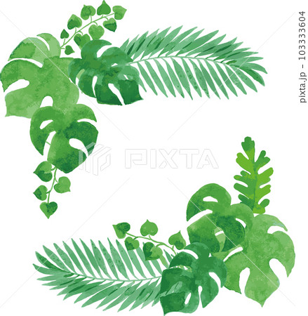 透明水彩 熱帯植物の葉のイラストあしらい 透明水彩 熱帯植物の葉のイラストあしらい 103333604