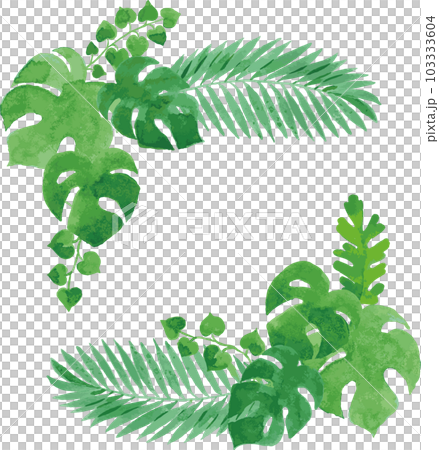 透明水彩 熱帯植物の葉のイラストあしらい 透明水彩 熱帯植物の葉のイラストあしらい 103333604