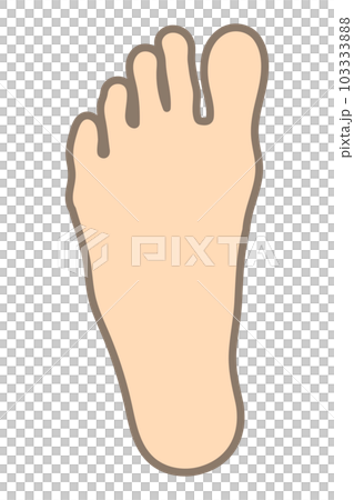 腳形 腳形 103333888