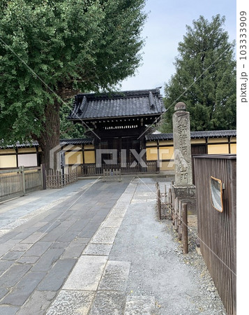 川越　小江戸　日帰り旅行　観光地 103333909