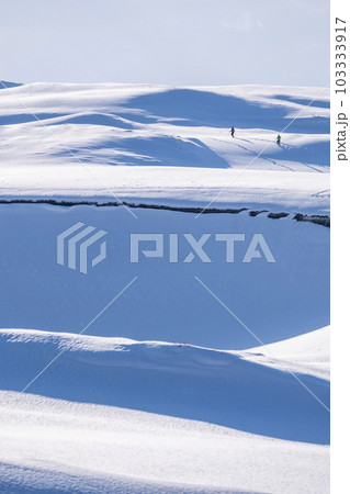 雪上に足跡がある風景 鳥取砂丘 雪上に足跡がある風景 鳥取砂丘 103333917