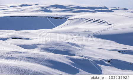 雪上に足跡がある風景　鳥取砂丘 103333924