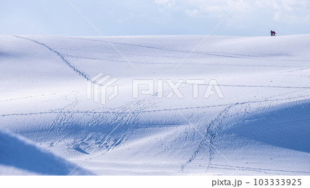 雪上に足跡がある風景 鳥取砂丘 雪上に足跡がある風景 鳥取砂丘 103333925