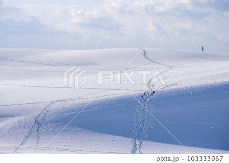 雪上に足跡がある風景 鳥取砂丘 雪上に足跡がある風景 鳥取砂丘 103333967