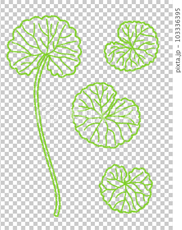 クレヨン素材 ツボクサの線画イラスト クレヨン素材 ツボクサの線画イラスト 103336395