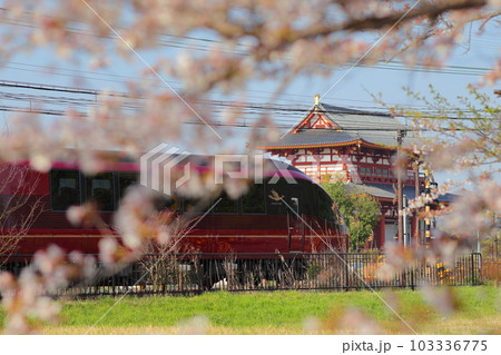 朱雀門と桜と特急ひのとり 朱雀門と桜と特急ひのとり 103336775