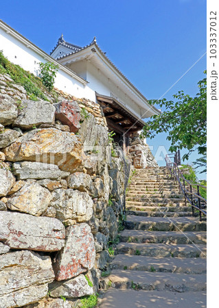 浜松城(静岡) 浜松城(静岡) 103337012