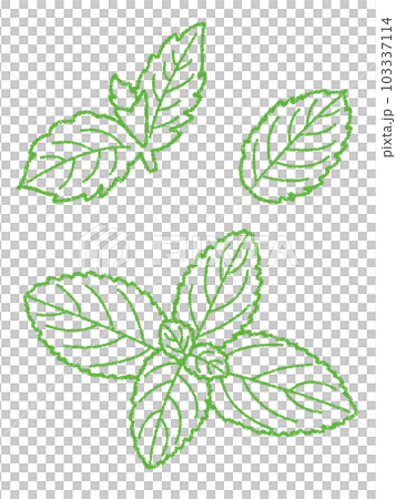 クレヨン素材　ミントの線画イラスト 103337114