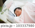 生まれたての新生児 103337980