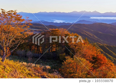 秋の茶臼山高原 103338070