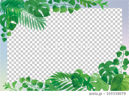 透明水彩 熱帯植物の葉のイラストフレーム A4横 透明水彩 熱帯植物の葉のイラストフレーム A4横 103338079