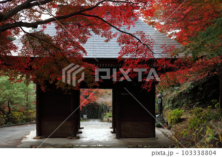 紅葉と寺院の山門　 103338804