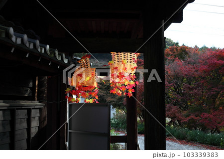 紅葉の飾り 紅葉の飾り 103339383