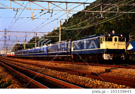 2001年　東海道線を走るEF651121快速ムーンライト山陽・高知・松山 103339645