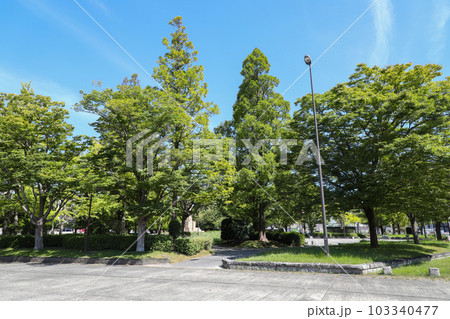 山口県 宇部市 渡辺翁記念公園 山口県 宇部市 渡辺翁記念公園 103340477