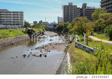 山口県 宇部市 真締川 山口県 宇部市 真締川 103340887