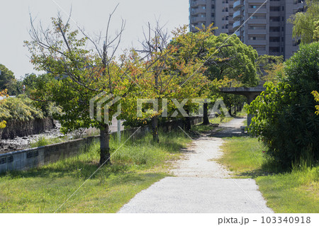 山口県 宇部市 真締川沿いの遊歩道 山口県 宇部市 真締川沿いの遊歩道 103340918