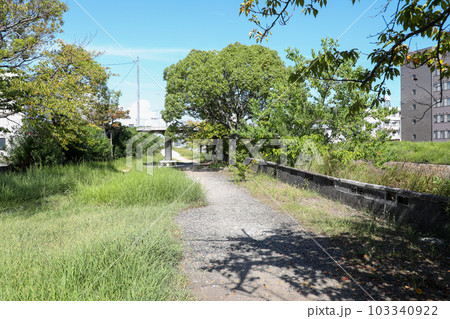 山口県 宇部市 真締川沿いの遊歩道 山口県 宇部市 真締川沿いの遊歩道 103340922