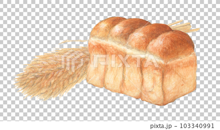 Yamagata bread and a bunch of wheat watercolor pencil illustration 103340991