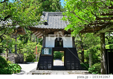 龍潭寺　東門（旧鐘楼堂） 103341067