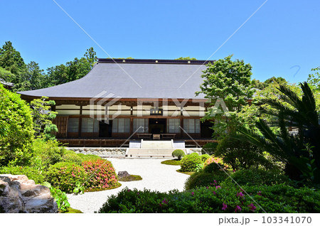龍潭寺　本堂 103341070