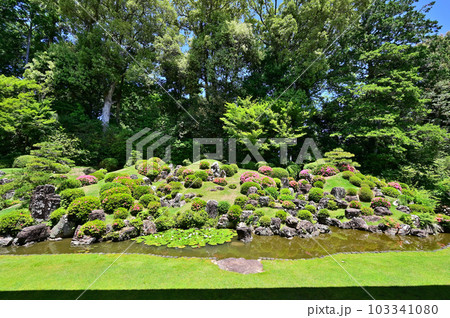 龍潭寺　庭園 103341080