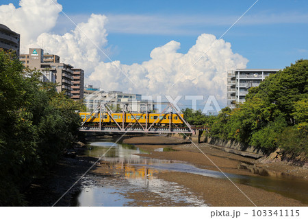 山口県　宇部市　真締川 103341115