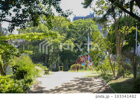 山口県　宇部市　真締川公園　遊歩道 103341482