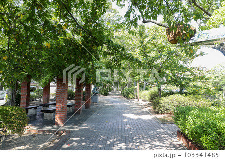 山口県　宇部市　真締川公園　遊歩道 103341485