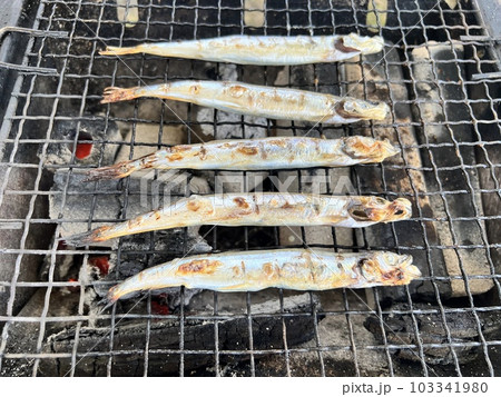 シシャモの炭火焼 103341980