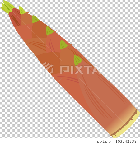 帶皮輕竹 103342538