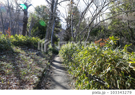 長野県　長野市　冬　象山神社小径 103343279