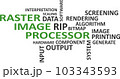 word cloud - raster image processor 103343593