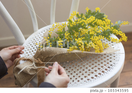 ミモザのフラワーアレンジメント ミモザのフラワーアレンジメント 103343595