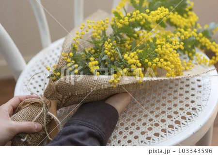 ミモザのフラワーアレンジメント ミモザのフラワーアレンジメント 103343596