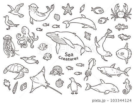 海の生き物 イラストセット 線画のイラスト素材 [103344124] - PIXTA