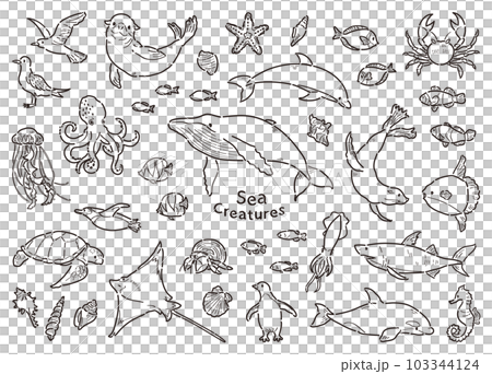海洋生物插圖集線條圖 103344124