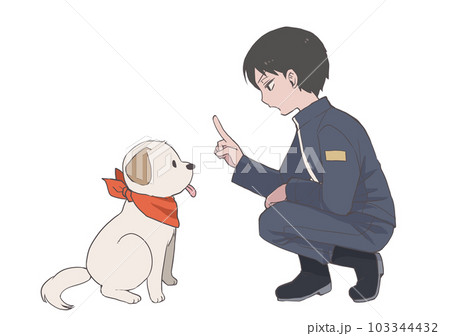犬のしつけをする人 103344432